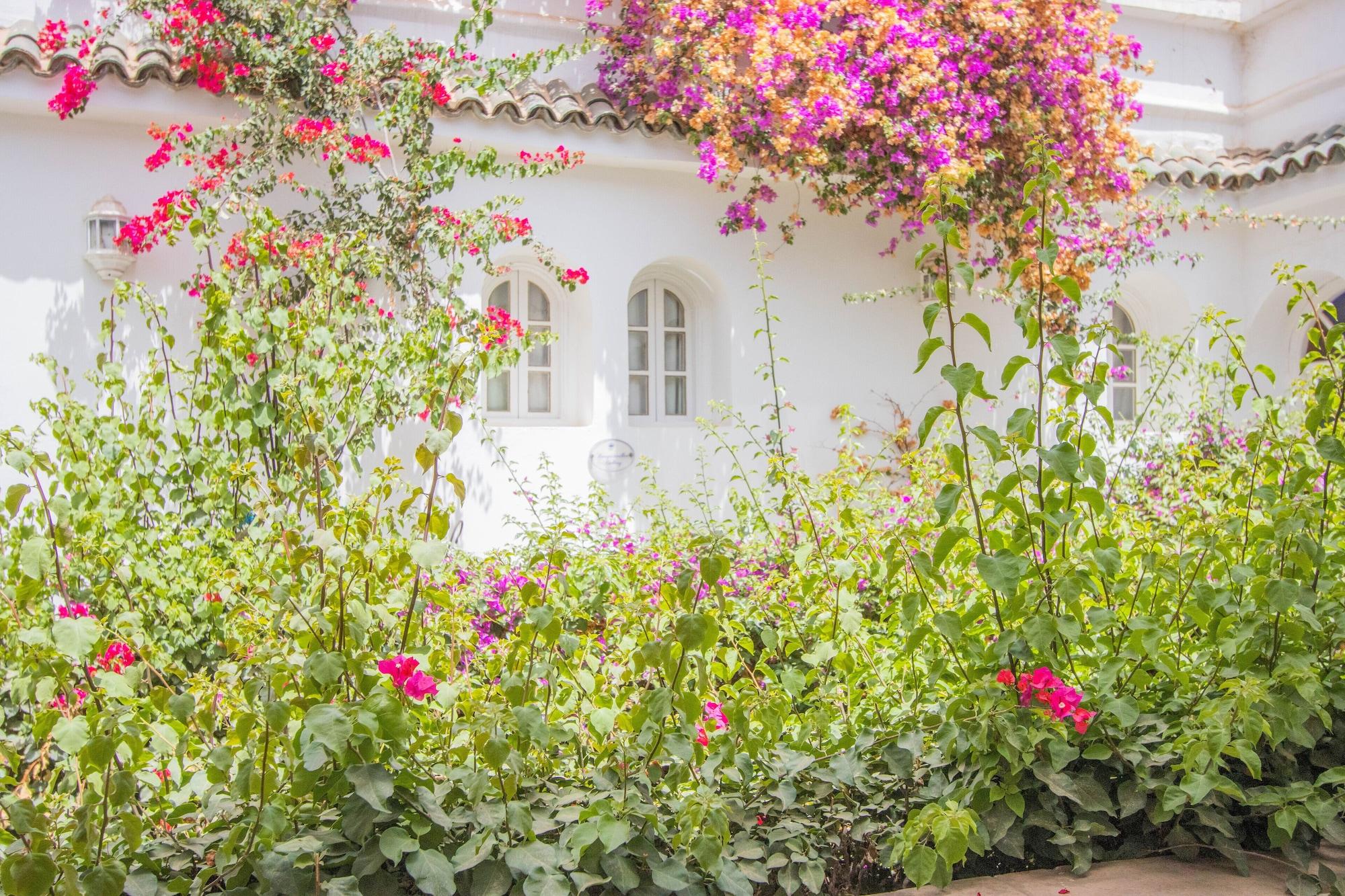 Riad Palais Des Princesses & Spa Marrakesh Esterno foto A garden in Morocco